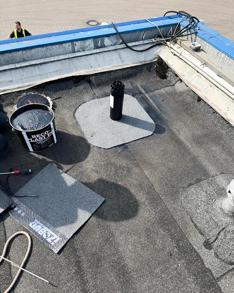 Frischer Wind für Hamburgs Dächer 7 NV Hamburger Daecher